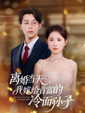 离婚当天我嫁给首富的冷面孙子