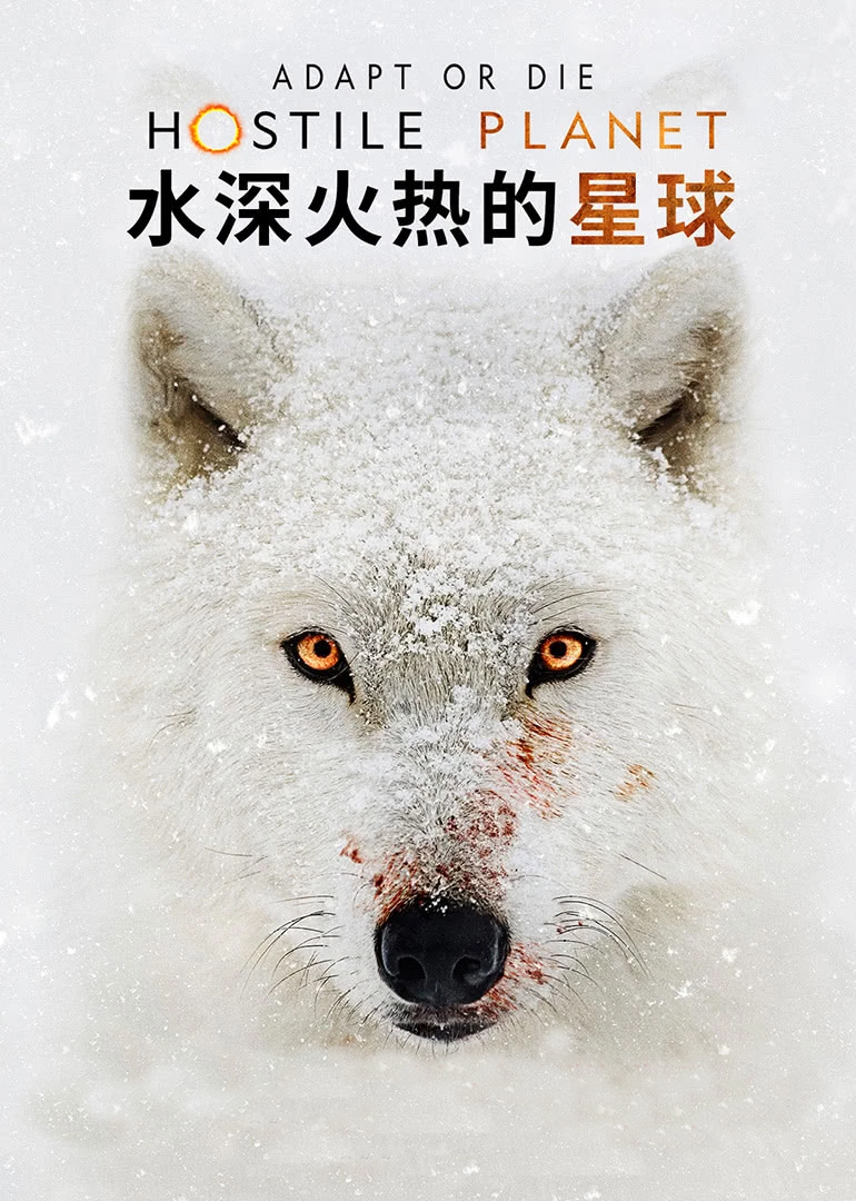 水深火热的星球英配