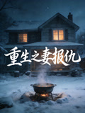 重生之妻报仇