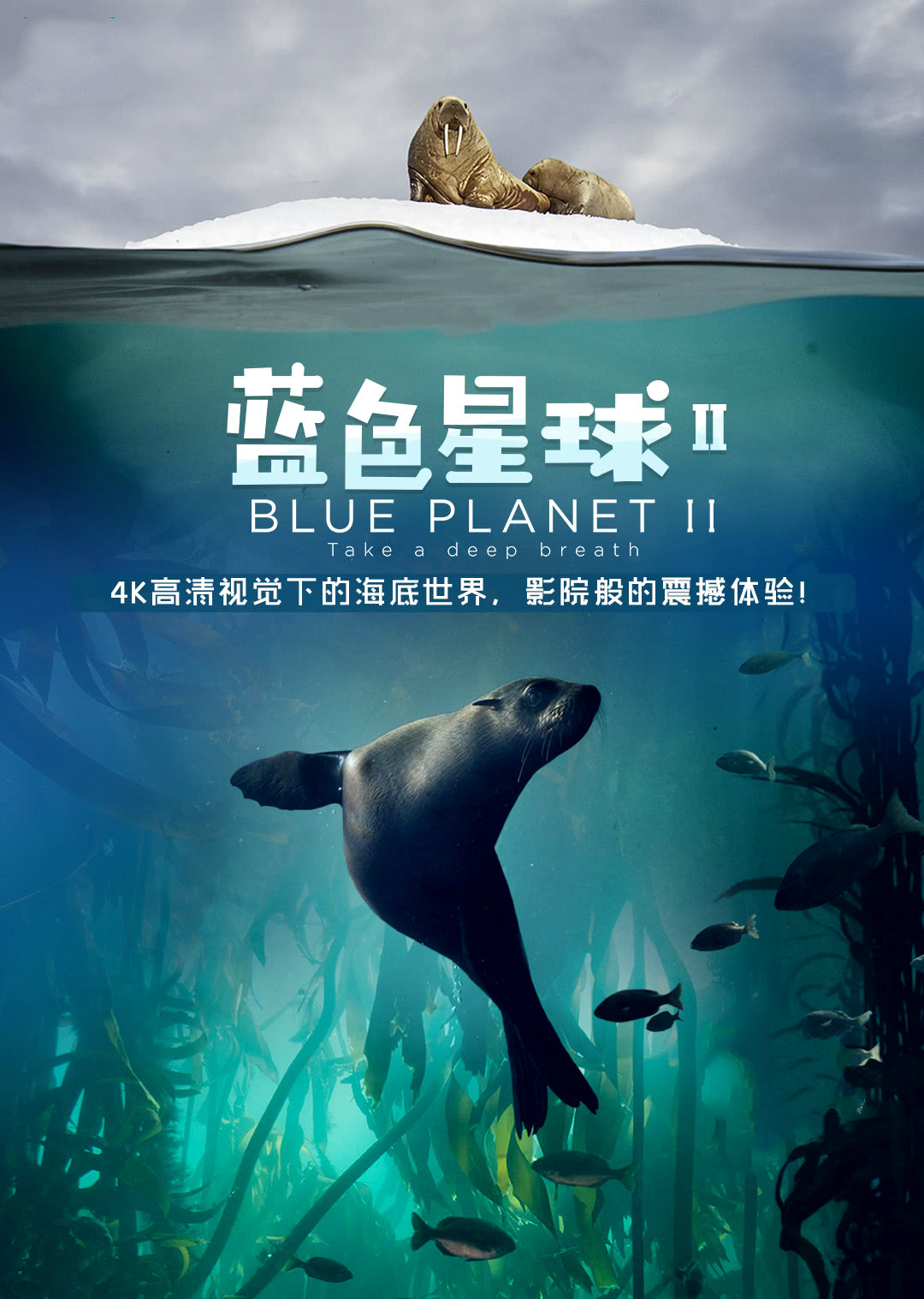 蓝色星球第二季英配