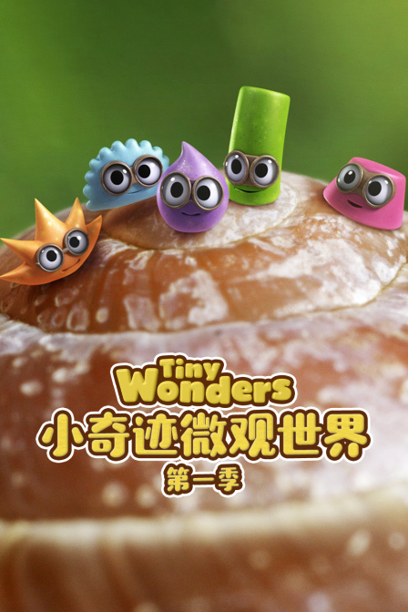 小奇迹微观世界第一季