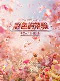 彩色的荣耀手艺人大会第二季