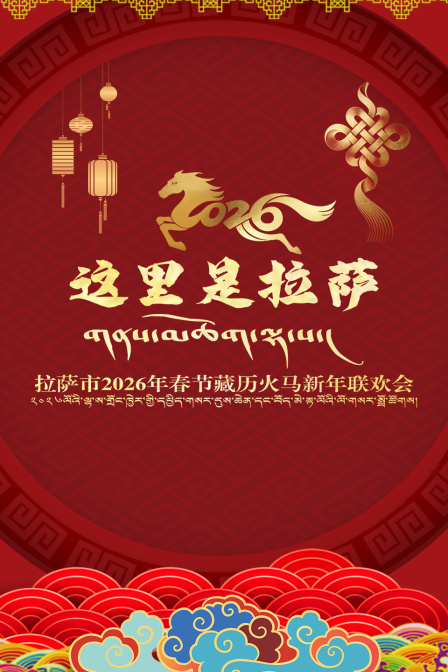 拉萨市年春节藏历火马新年联欢会