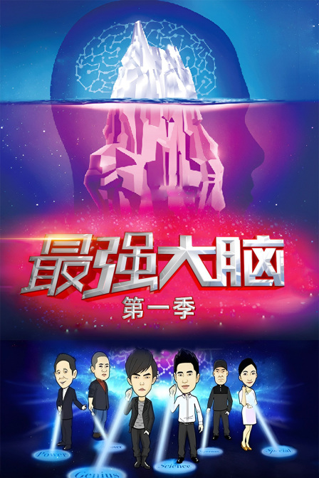 最强大脑第一季