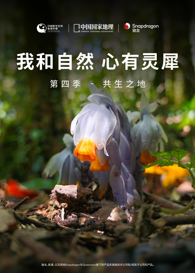 我和自然心有灵犀第四季共生之地