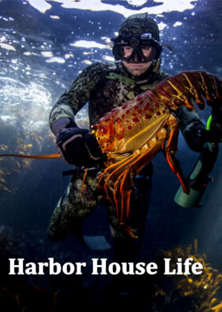 HarborHouseLife