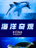 海洋奇观第二季