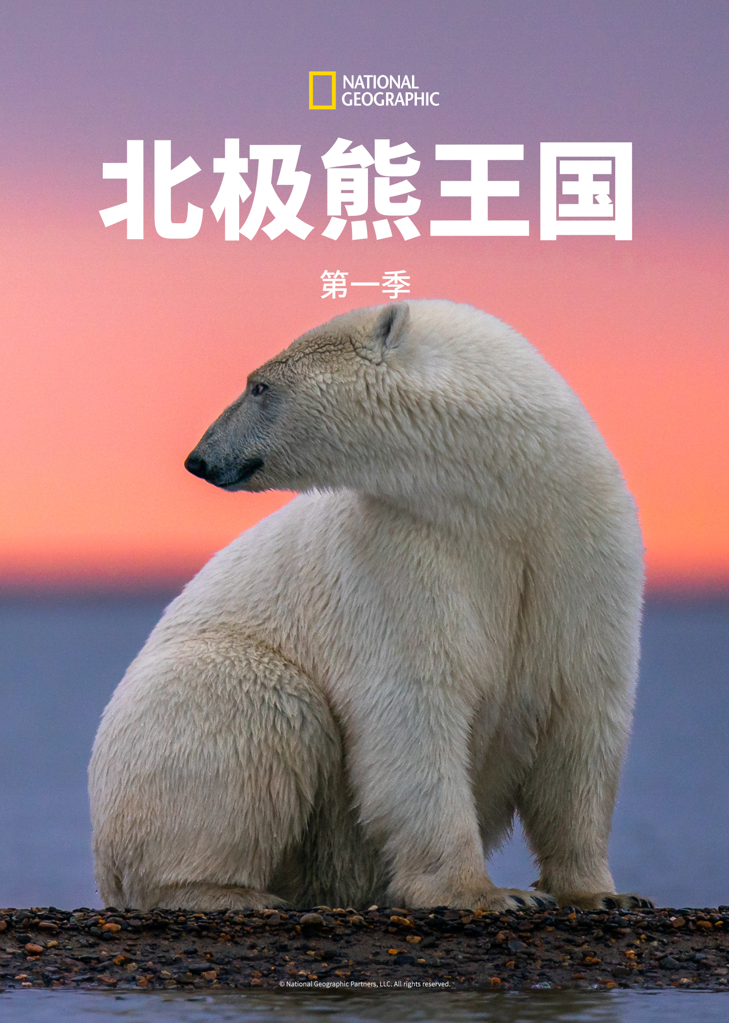 北极熊王国第一季