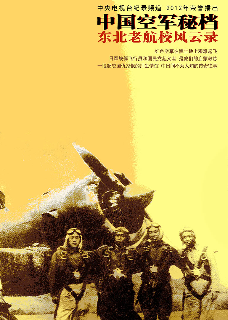 中国空军秘档