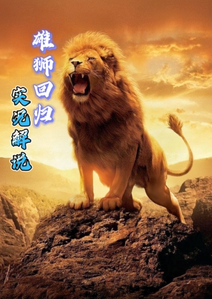 纪录片雄狮回归