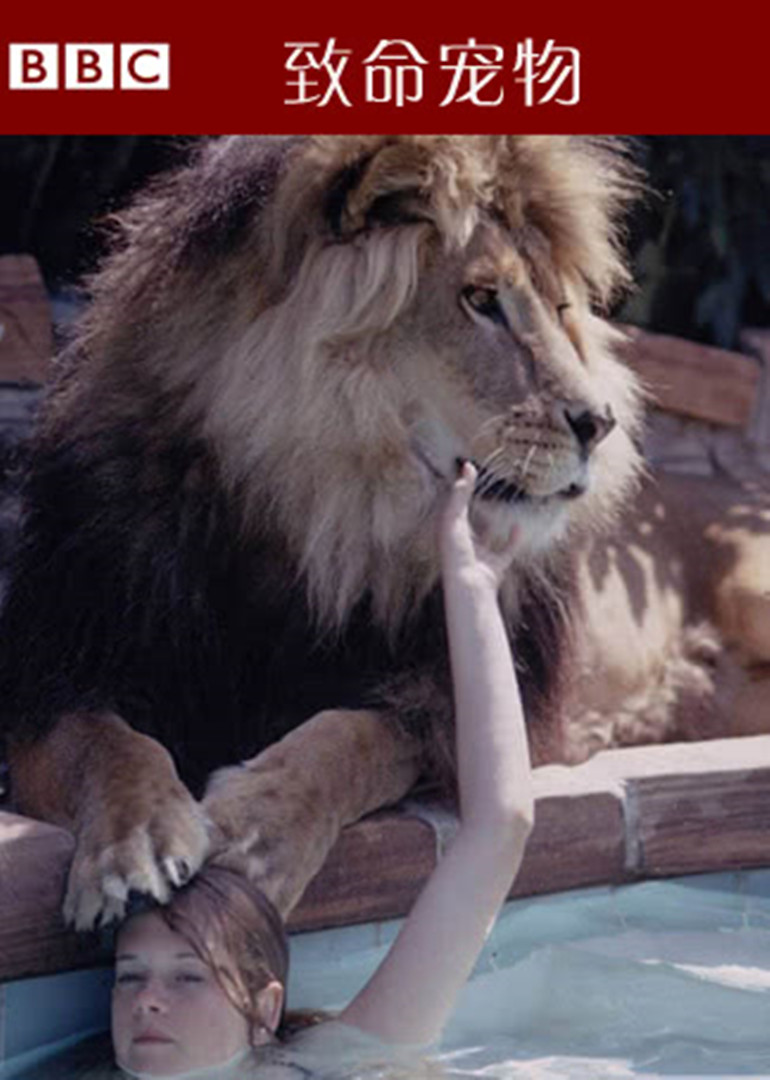 致命宠物第三季