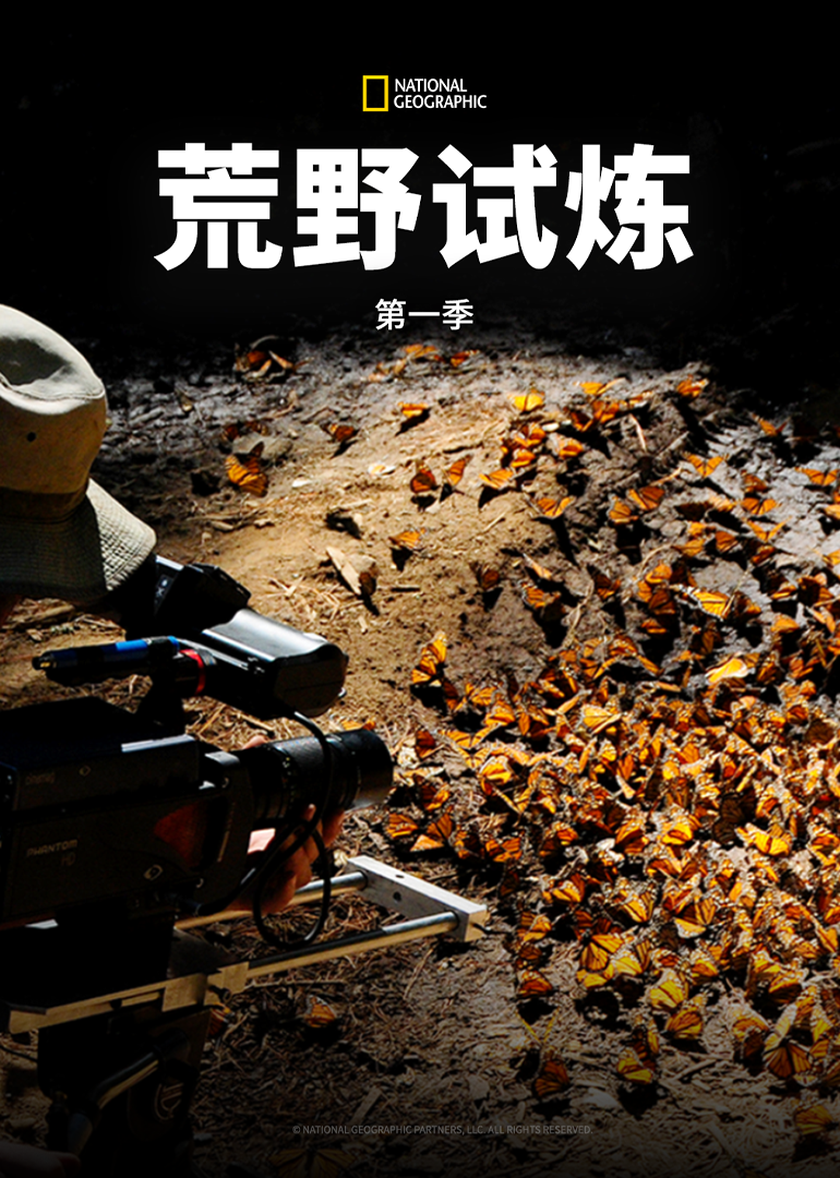 荒野试炼第一季