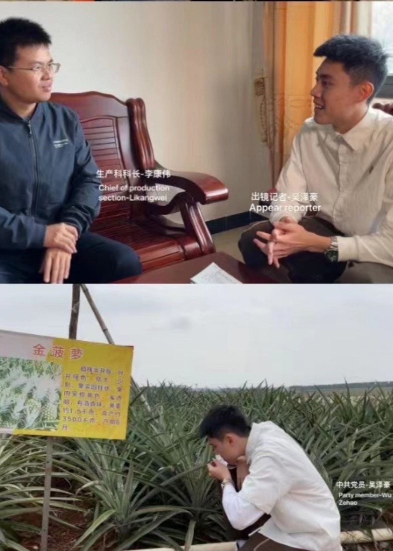 走近湛江专题纪录片徐闻菠萝的前世今生吴泽豪毕业设计