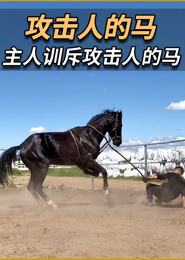 动物解说解读不一样的动物趣闻