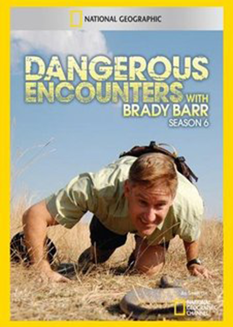 动物零距离第六季