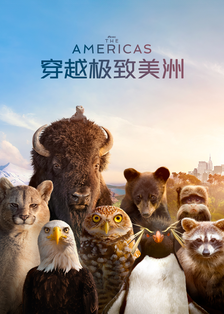 穿越极致美洲英配