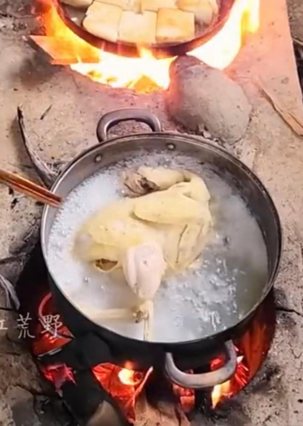 小江野外日常记录