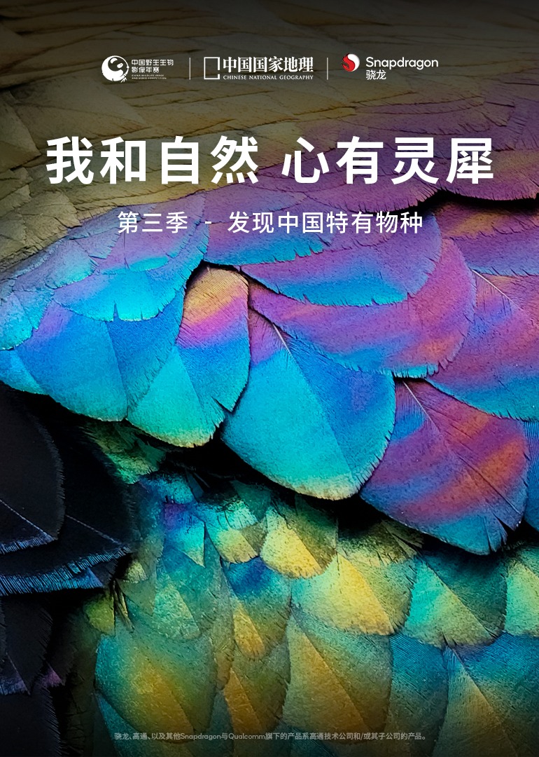 我和自然心有灵犀第三季发现中国特有物种