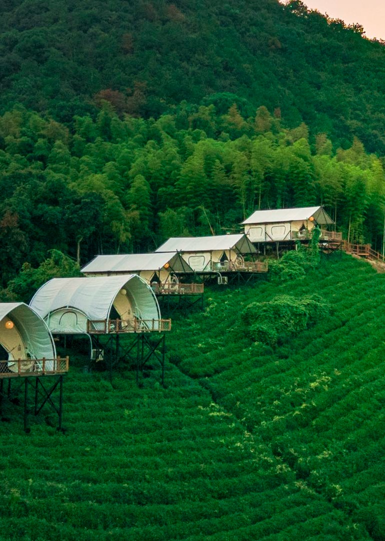 户外特色美食户外探险