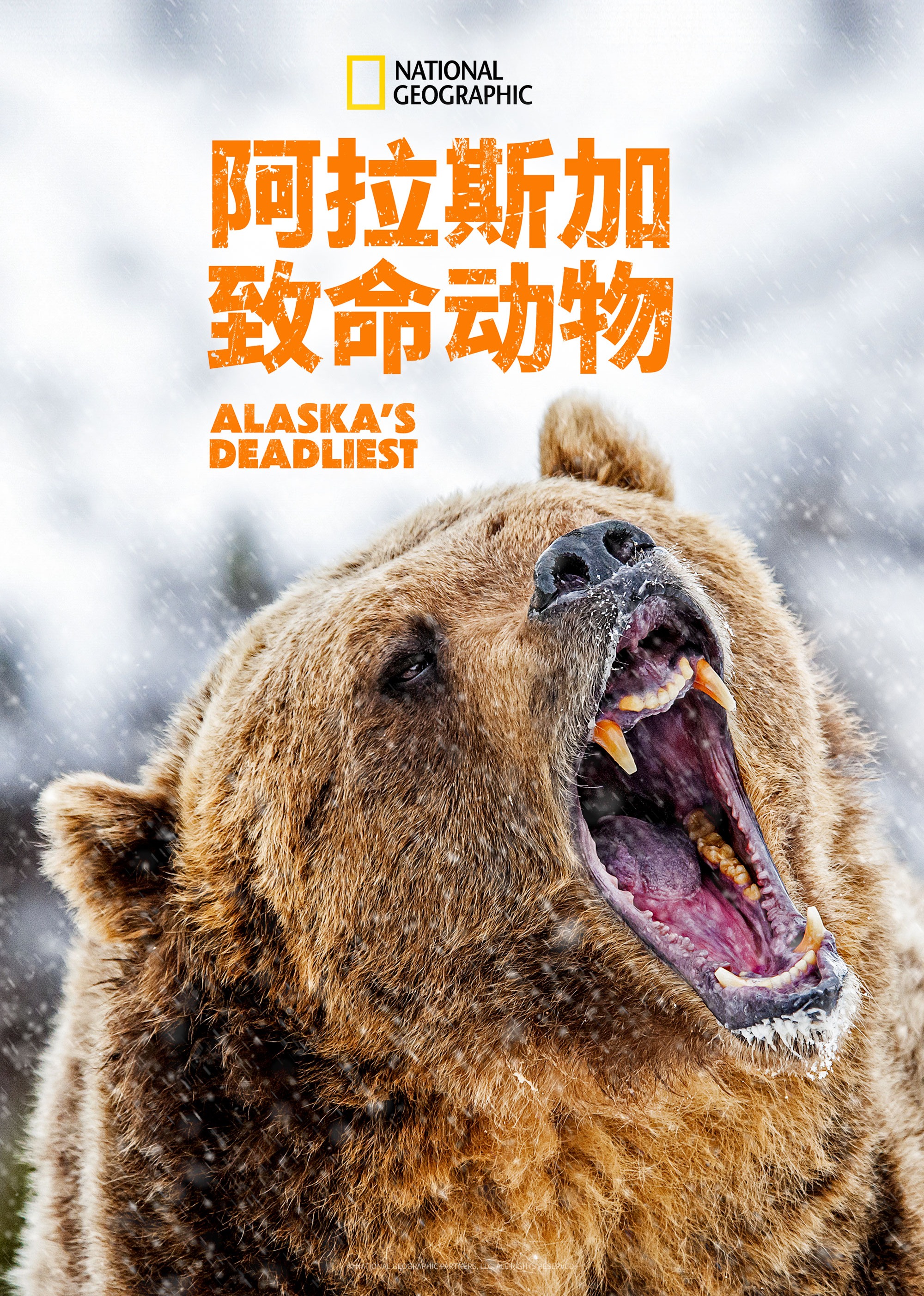 阿拉斯加致命动物第一季