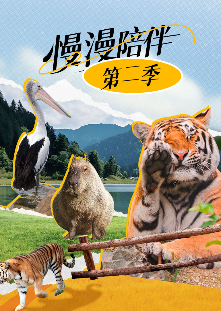 漫漫陪伴第二季