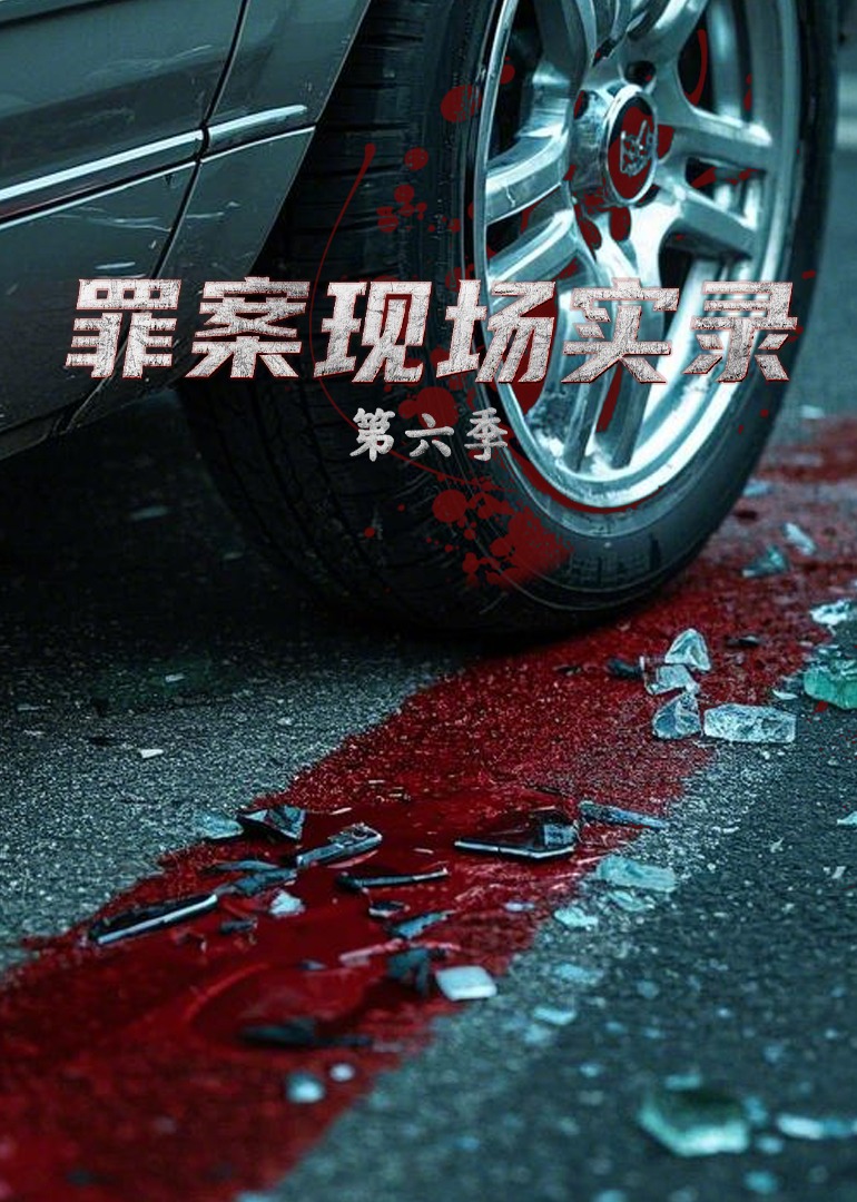罪案现场实录第六季