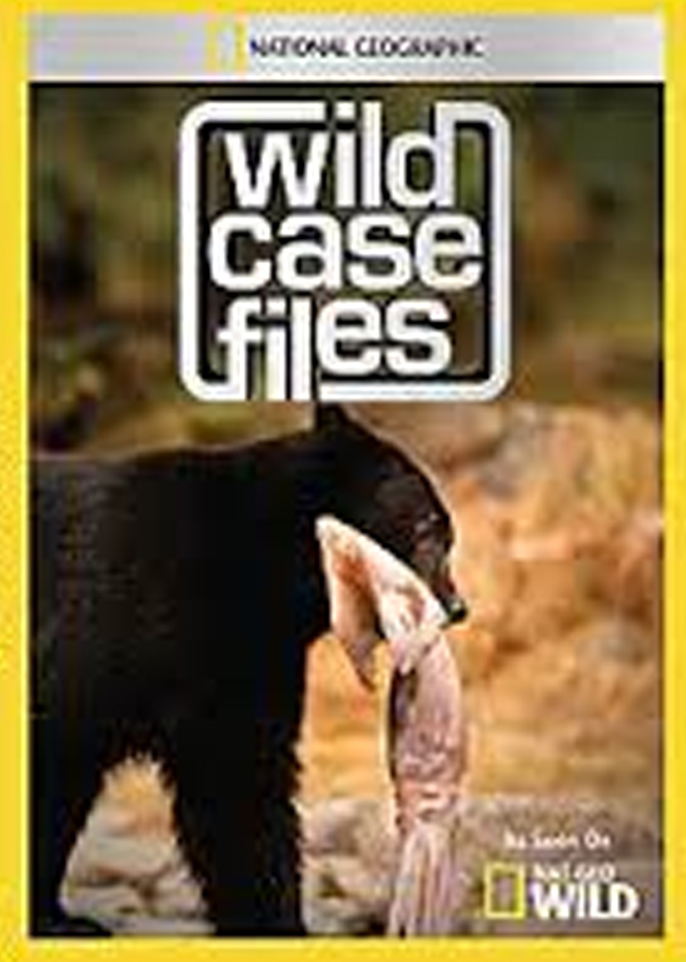 大自然神秘档案第二季