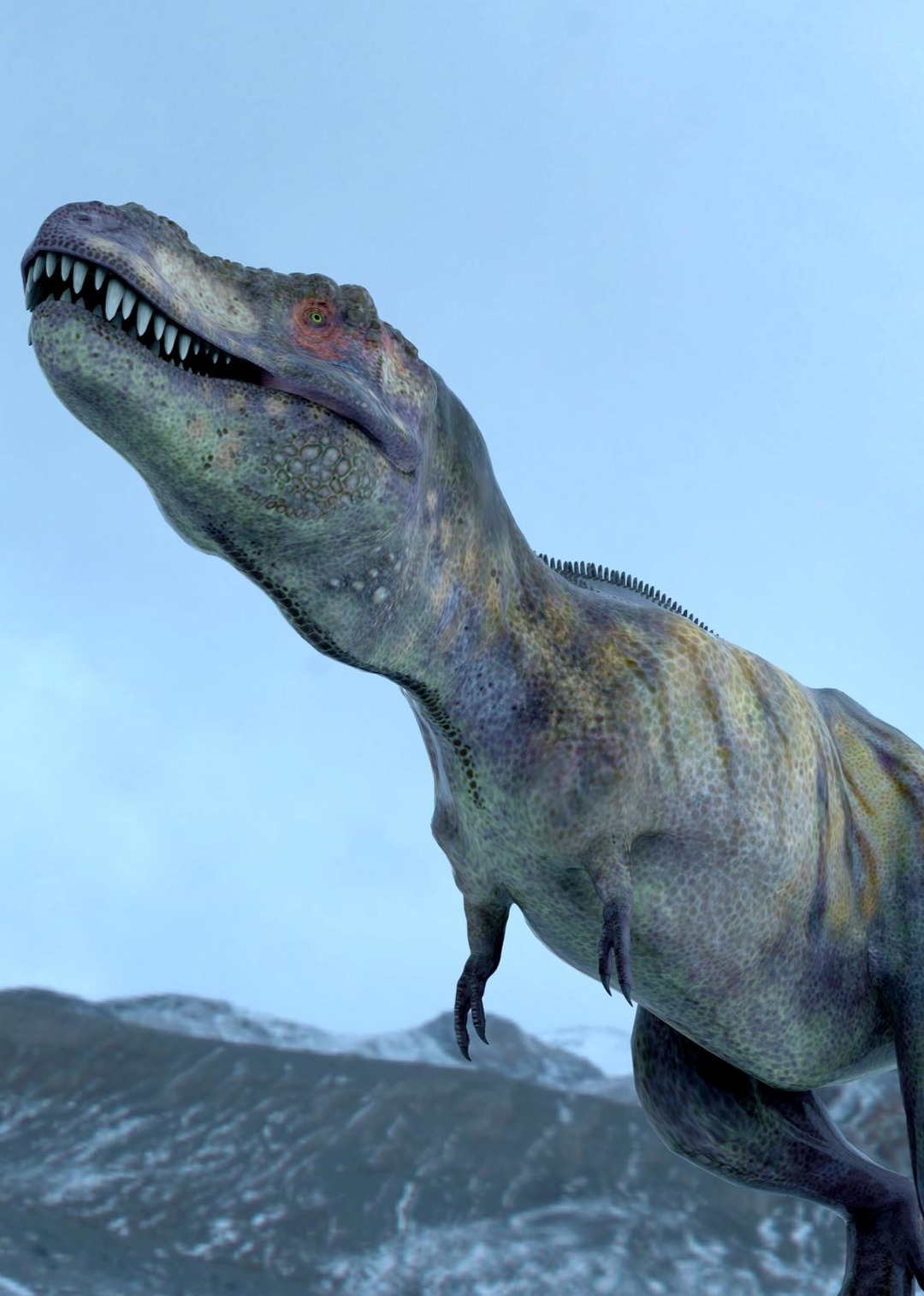 奇妙的大自然奇妙的动物