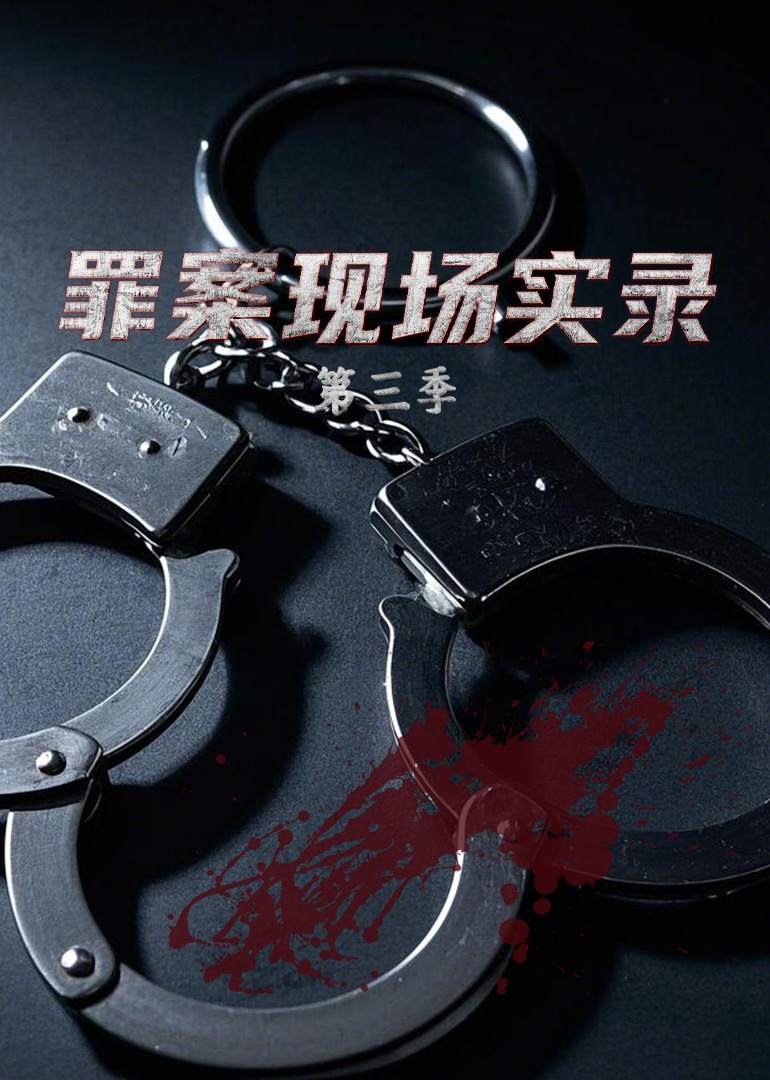 罪案现场实录第三季