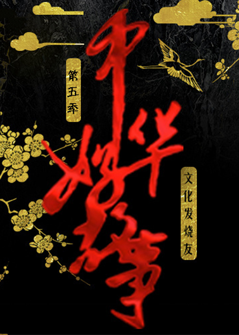 中华好故事第五季