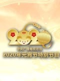 央视元宵特别节目