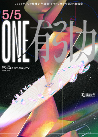 TOP登陆少年组合演唱会