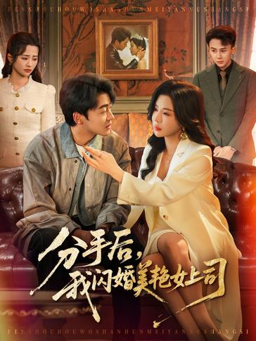 分手后我闪婚美艳女上司