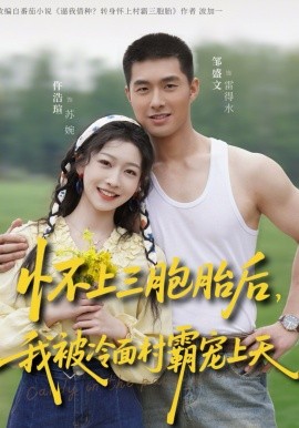 怀上三胞胎后我被冷面村霸宠上天