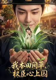 我本田间草权臣心上囚