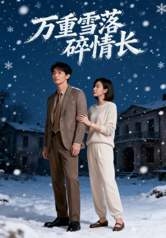 万重雪落碎情长