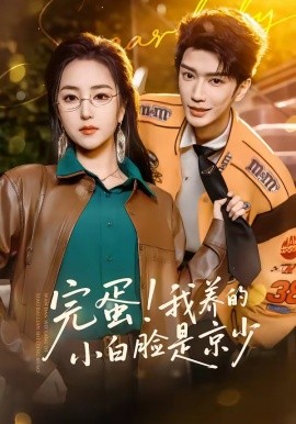 完蛋我养的小白脸是京少