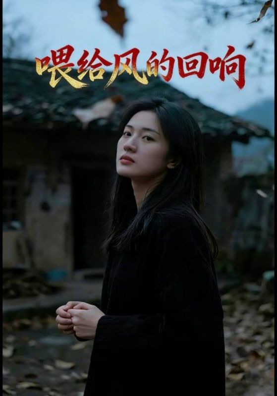 喂给风的回响