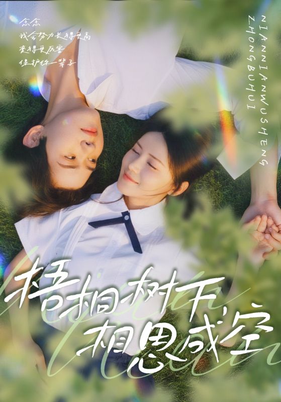 梧桐树下相思成空