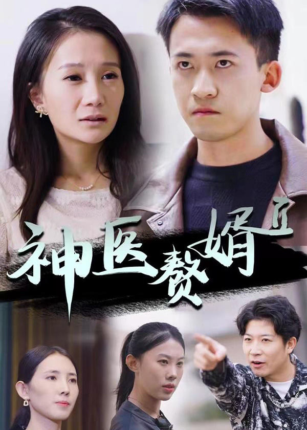 神医赘婿2