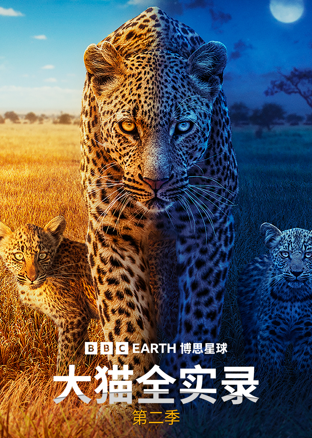 大猫全实录第二季英文版