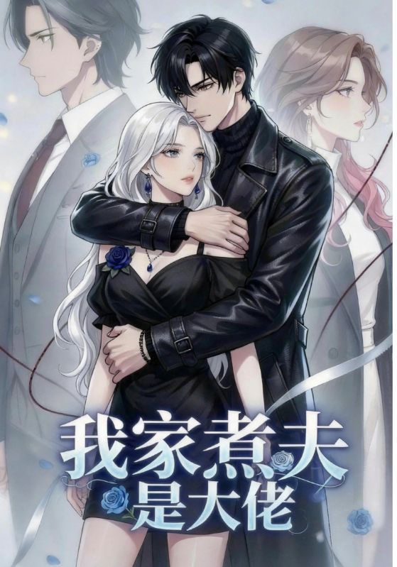 我家煮夫是大佬