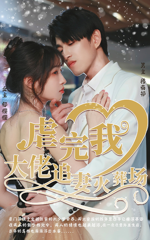 虐完我大佬追妻火葬场