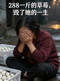 288一斤的草莓毁了她的一生