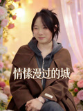 情愫漫过的城