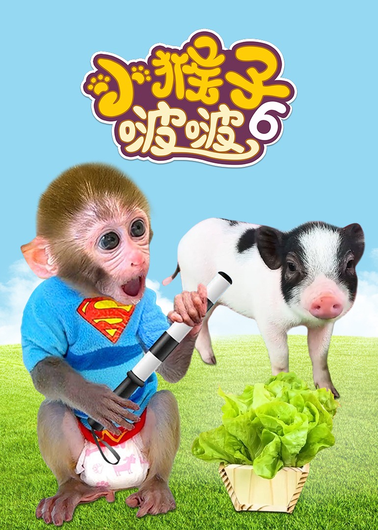 小猴子啵啵第六季