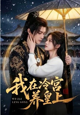 我在冷宫养皇上