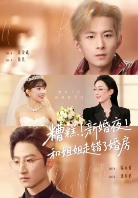 糟糕新婚夜和姐姐走错了婚房