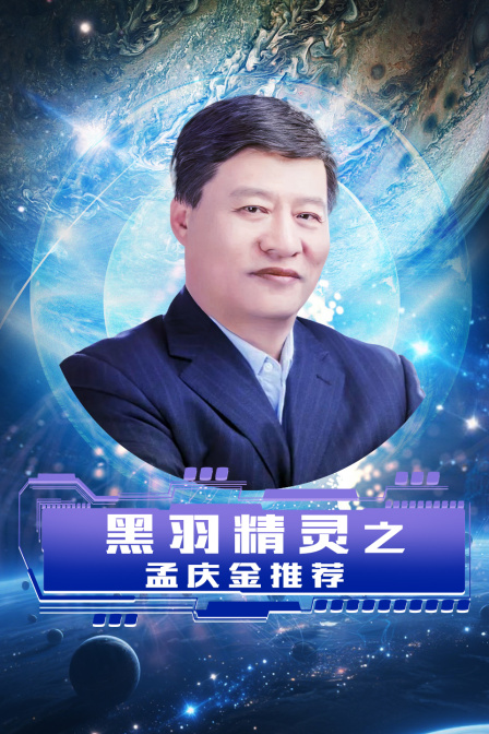 黑羽精灵之孟庆金推荐