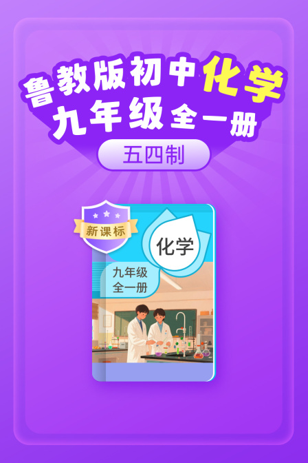 新课标鲁教版初中化学九年级全一册五四制